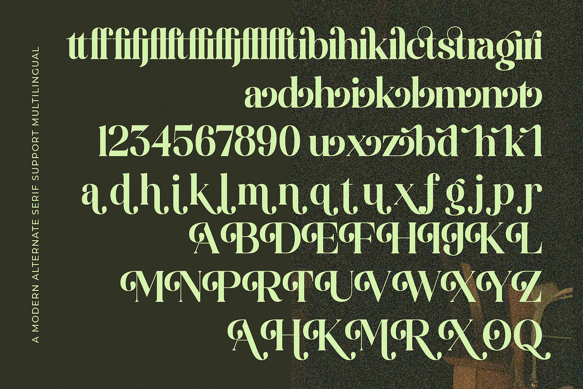 Funky Nights Vintage Modern Serif, a Serif Font by timelesstype.co (Photo 14 of 15)