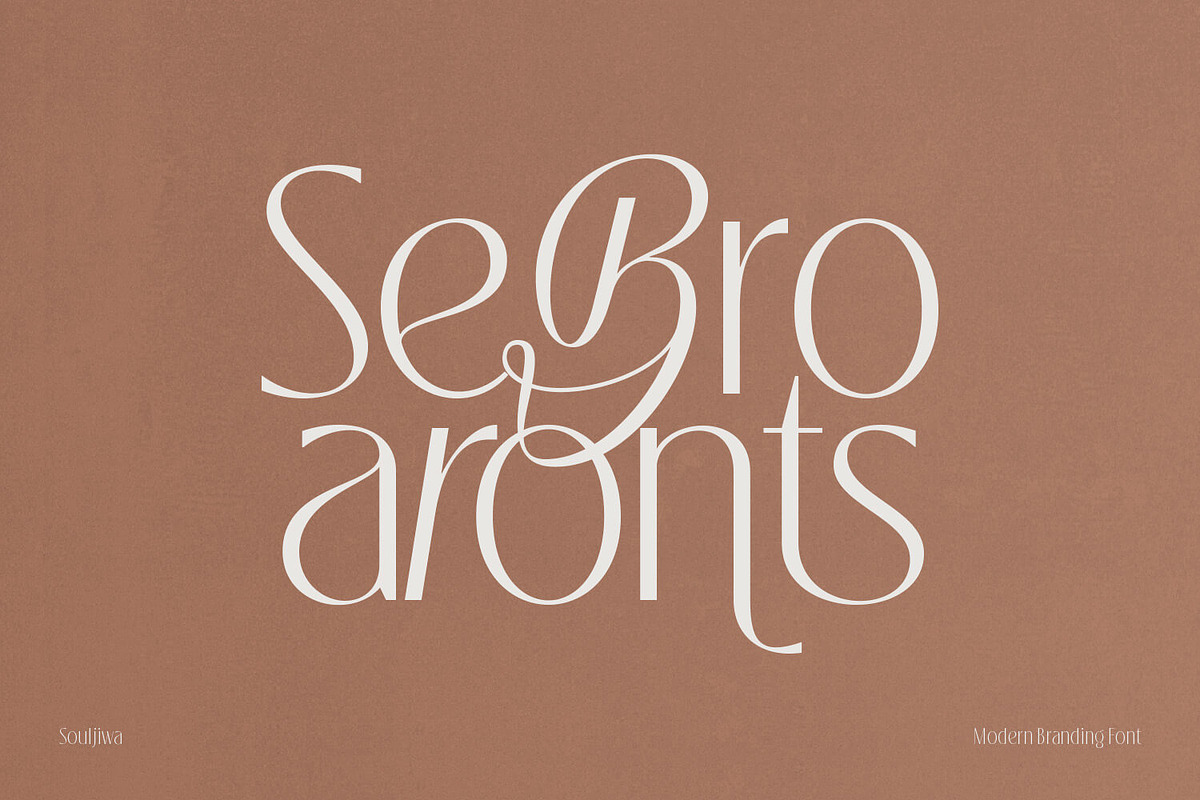 Souljiwa - Modern Branding Font, a Sans Serif Font by creativemedialab (Photo 13 of 14)