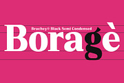 Bruchey Serif, a Serif Font by Fargun Studio (Thumbnail 7 of 15)
