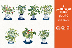 Watercolor Green Plants Clipart Set, an Illustration by Anna Ivanir