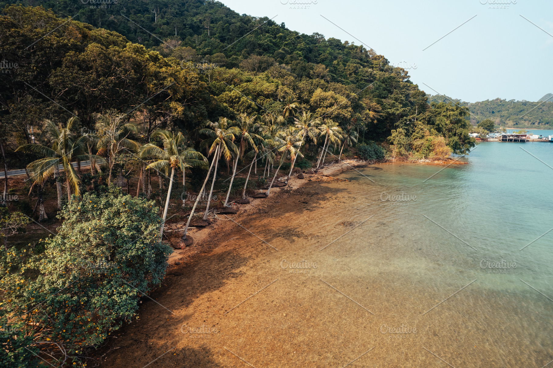 Coconut trees on the beach on the island, a Nature Photo by Art Rachen