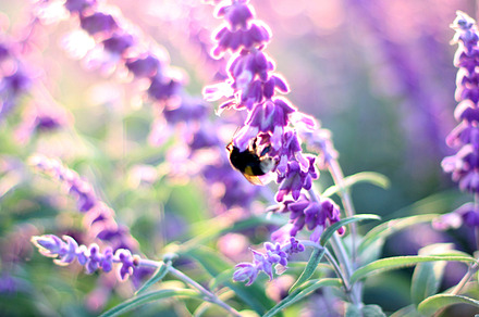 Sunny afternoon of October., a Nature Photo by Maria Dattola Photography