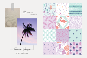 Tropical Breeze Collection Vector