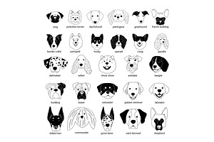 Different dogs heads collection of, an Animal Illustration by Stock-Smart-Start