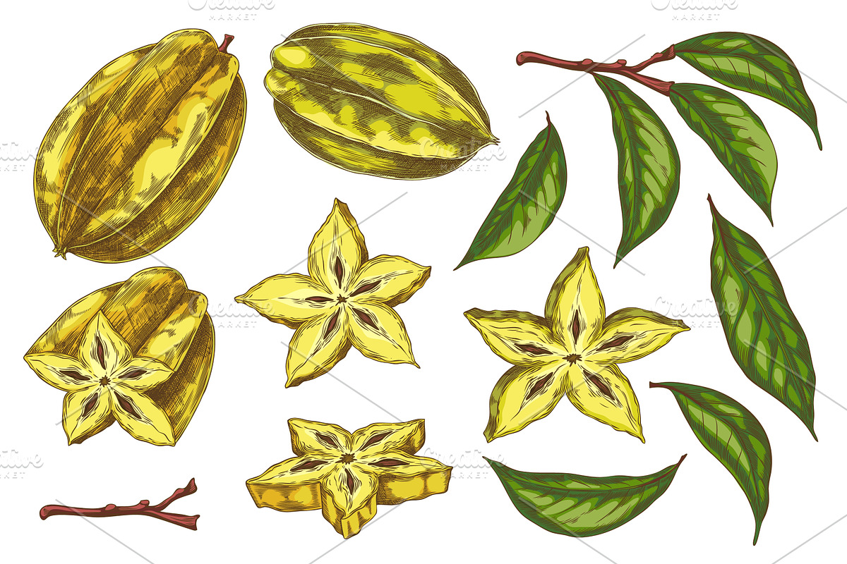 Vector set with an exotic star, a Food Illustration by Sabelskaya