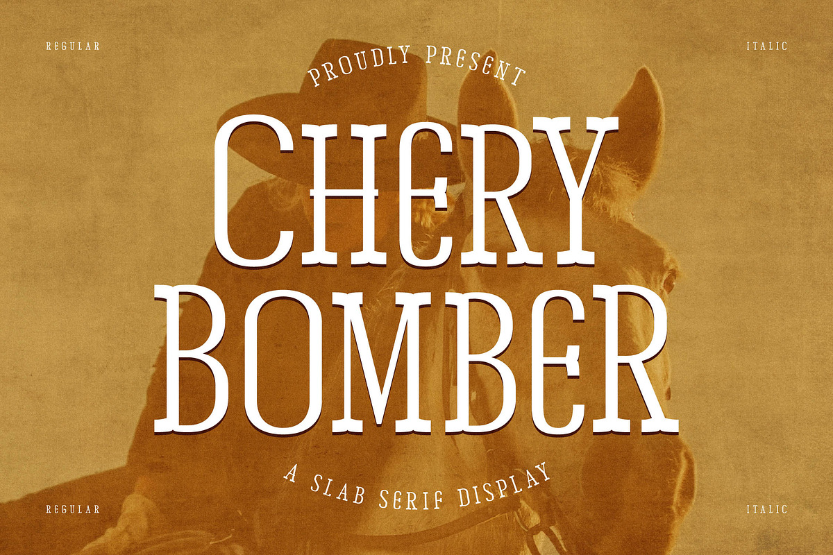 Chery Bomber A Slab Serif Display, a Slab Serif Font by Storytype Studio (Photo 1 of 15)