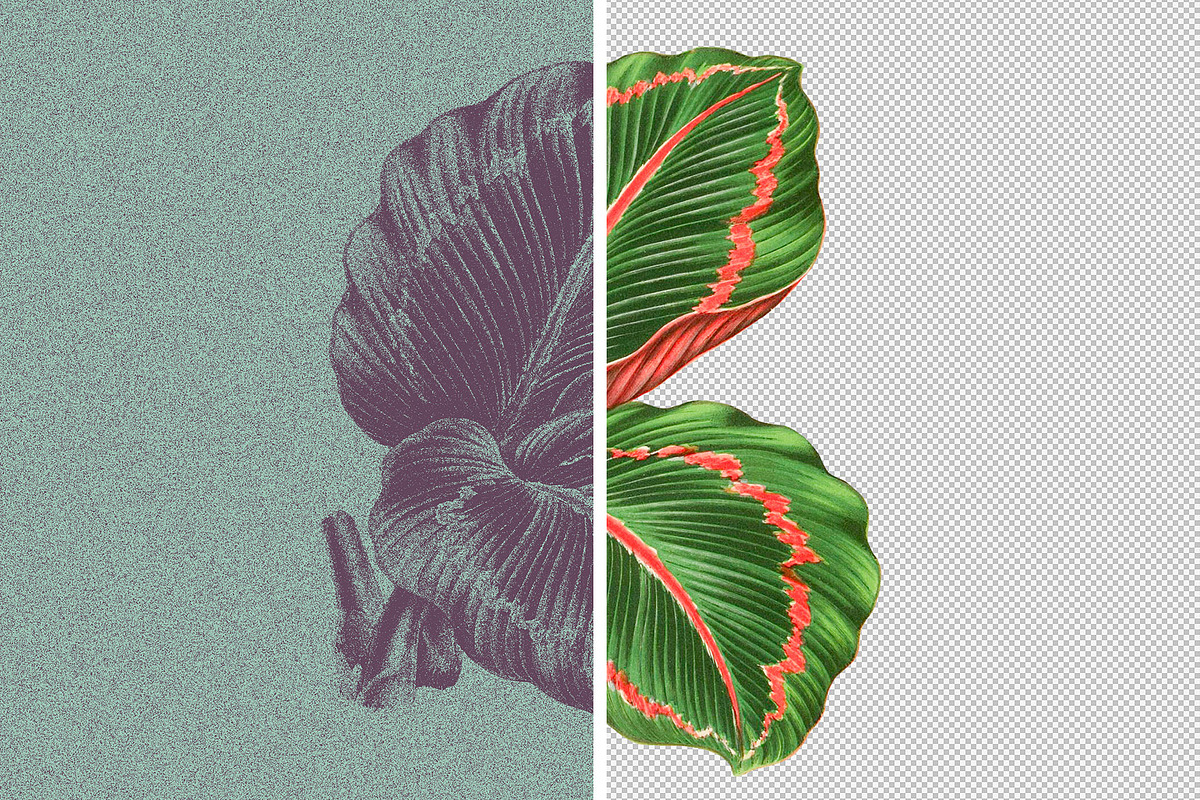 Risograph Grain Effect, a Layer Style Add-On by pixelbuddha.net (Photo 5 of 9)