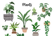 Indoor Plants, Vector Collection 2, an Object Graphic by JSolomatina (Thumbnail 2 of 6)