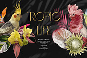 Tropical life. 100+ Parrot & flower, an Illustration by NNclipart (Thumbnail 1 of 14)