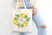 Pomelo Fruit Watercolor Collection, a Food Illustration by SashaKondr (Thumbnail 5 of 13)
