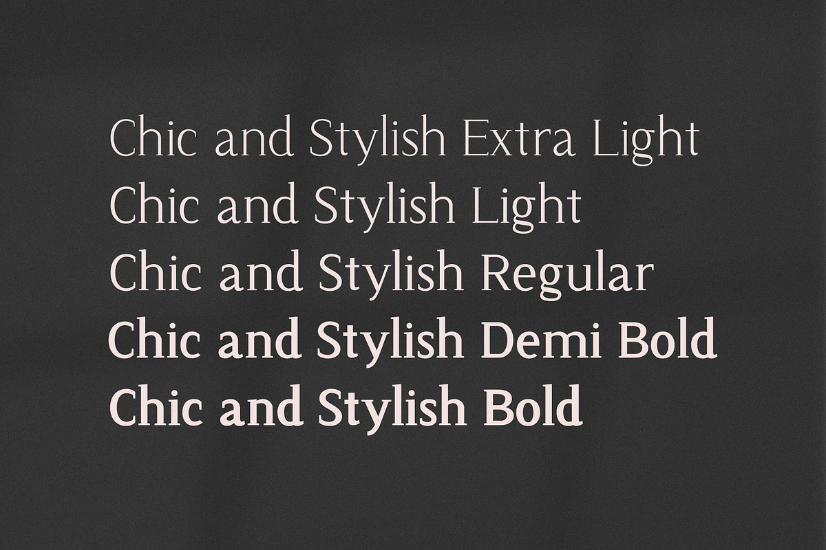 Chic and Stylish Variable Serif Font, a Serif Font by pixelcolours (Photo 9 of 14)