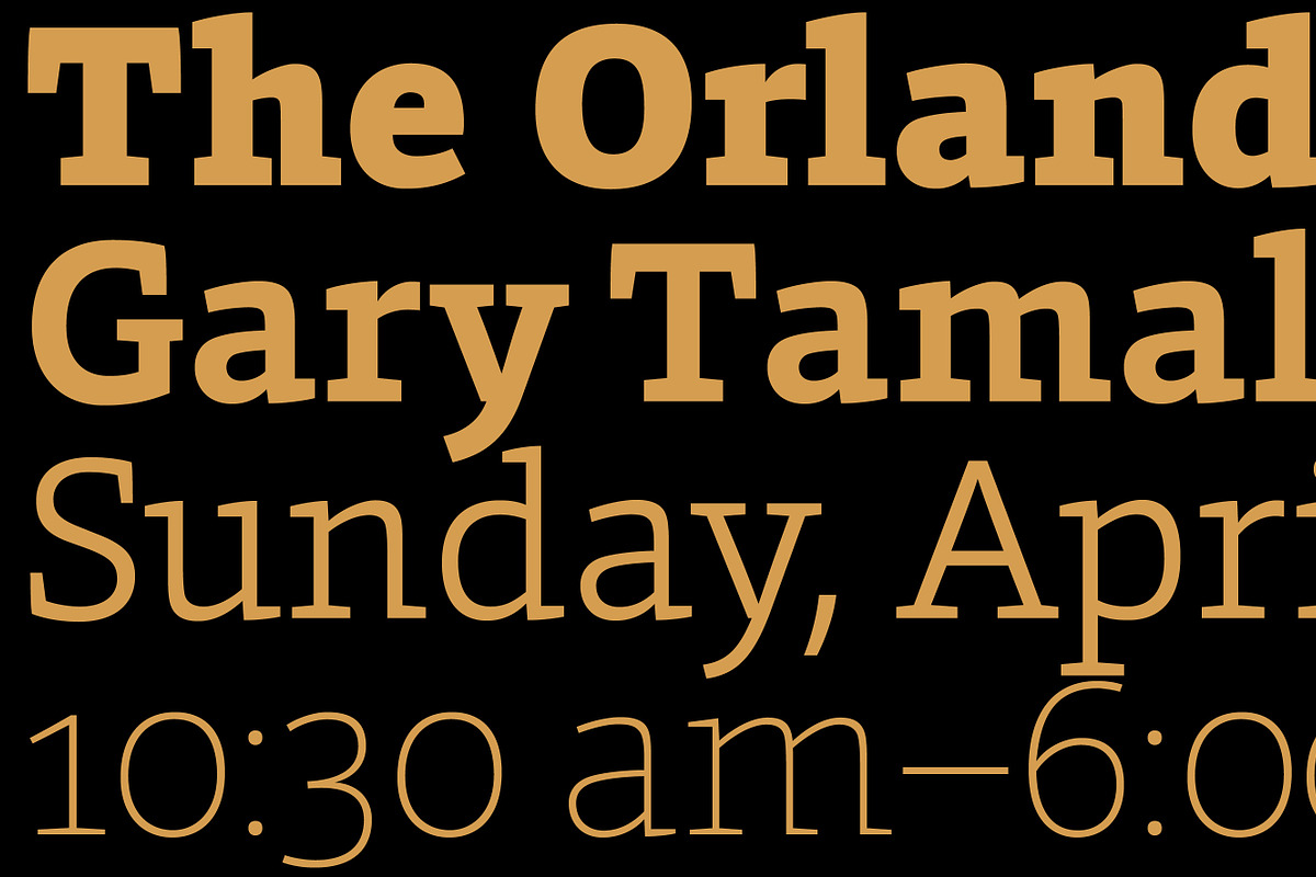 Foro, a Slab Serif Font by Hoftype (Photo 3 of 14)