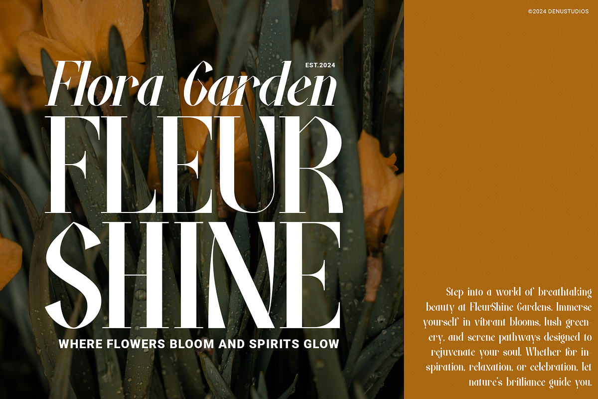 Fiably Manor | Modern Display Serif, a Serif Font by Denustudios (Photo 3 of 13)
