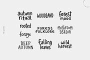 Autumn Forest Imprints | Vector Pack, an Object Illustration by Nutalin Art (Thumbnail 7 of 13)