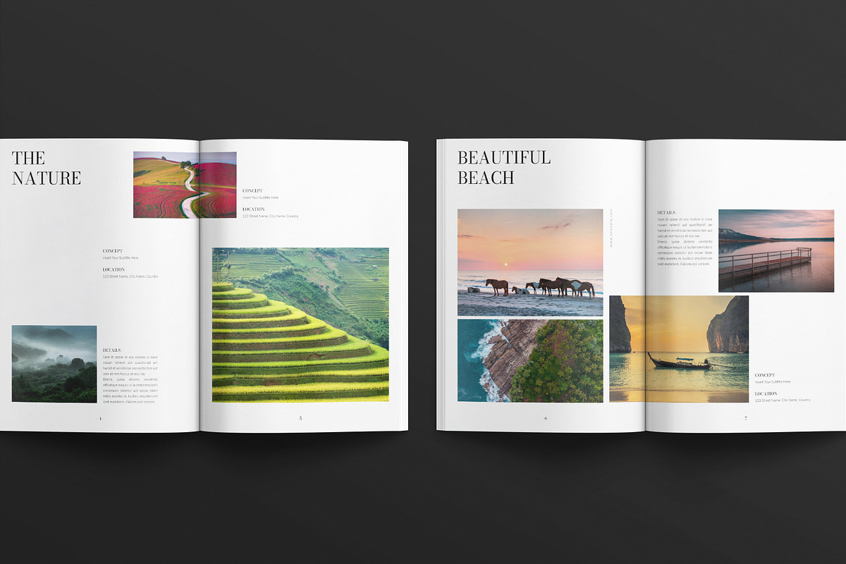 Digital Photography Portfolio, a Brochure Template by E-Type (Photo 3 of 7)