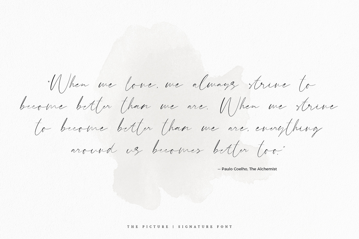 The Picture | Signature Font preview 5