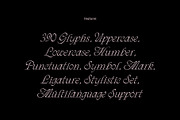 ED Phoebe, a Serif Font by Emyself Design (Thumbnail 9 of 12)