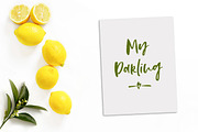 Gillian Font + Extras, a Script Font by Calamar Studio (Thumbnail 11 of 13)