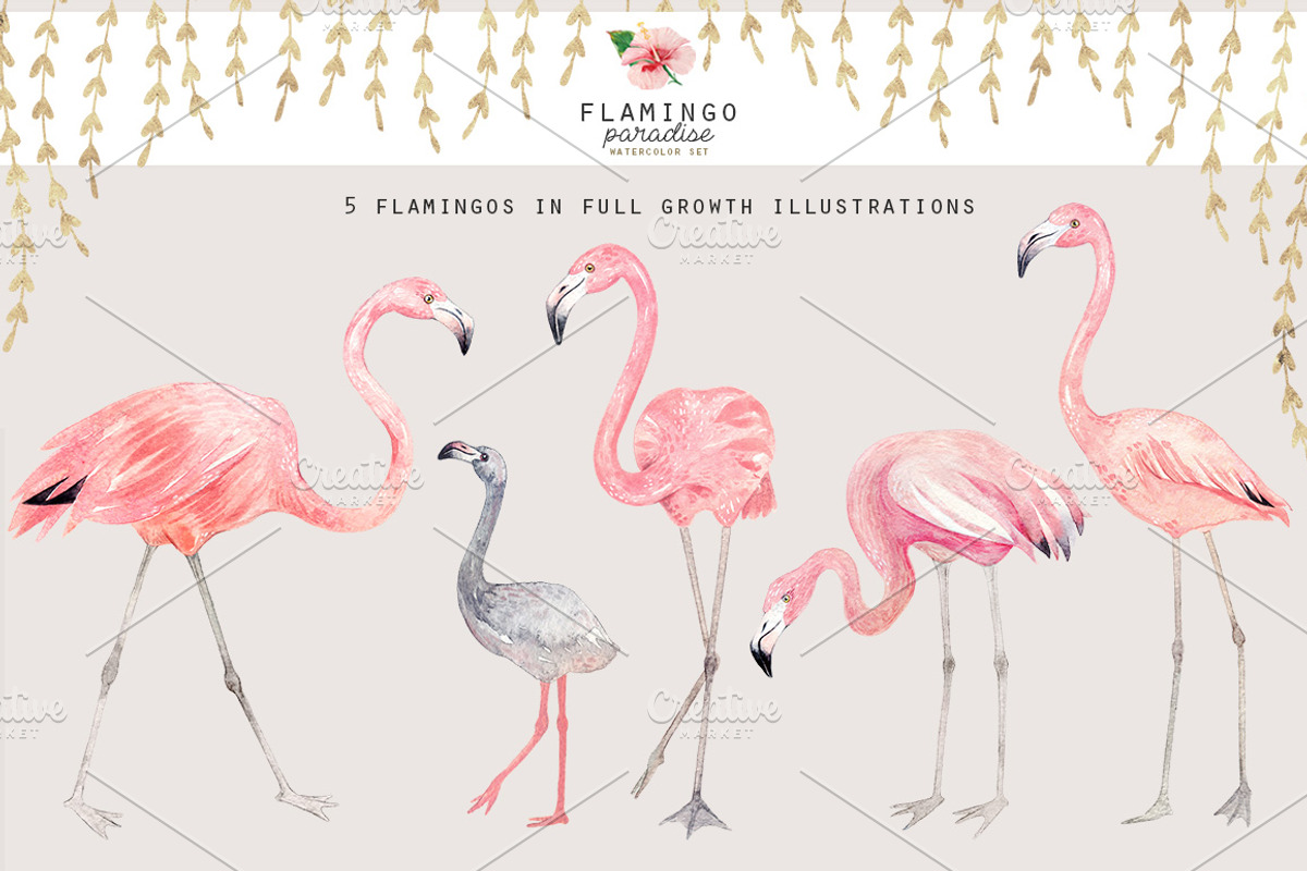 FLAMINGO PARADISE watercolor set, an Illustration by Natali Smolova (Photo 7 of 11)