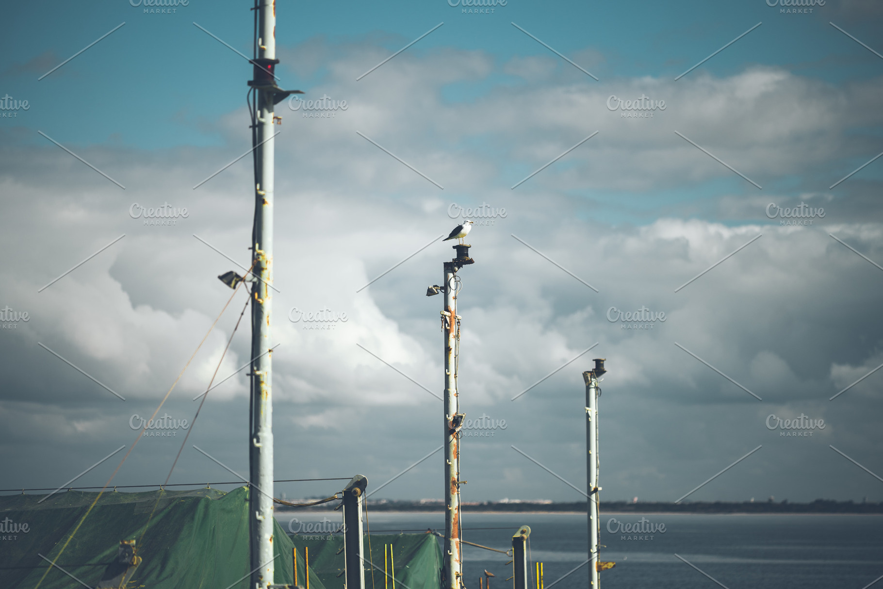 Seagull on a pole, cloudy sea sky, an Industrial Photo by SkyNext