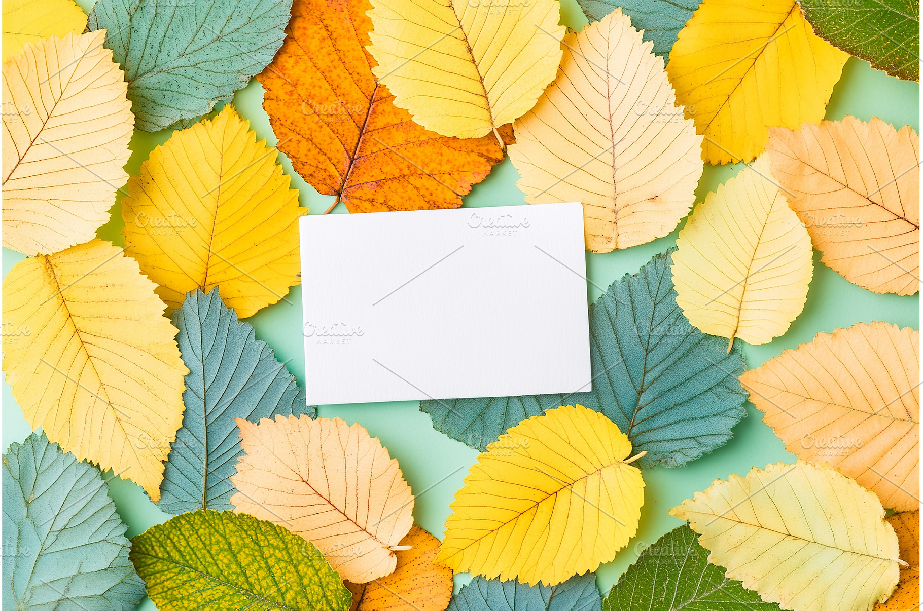 Blank card surrounded by colorful, a Nature Photo by Lermont51