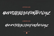 Basic Instinct Typeface, a Font by DOZZURA (Thumbnail 2 of 6)