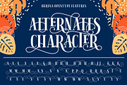 Herina Font + Extra, a Serif Font by Graptail (Thumbnail 5 of 13)