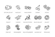 Nuts and Berries icons, a Food Illustration by Tettygreen (Thumbnail 3 of 3)