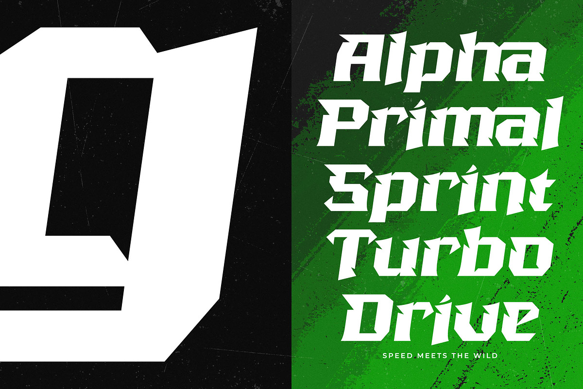 Beast Kings Modern Sport Display, a Sans Serif Font by timelesstype.co (Photo 6 of 20)