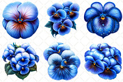 Watercolor Pansy Flowers Clipart, an Illustration by Black Bird Studio (Thumbnail 5 of 5)