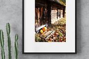 15 Rustic Autumn Stock Photos, a Holiday Photo by pictures for you (Thumbnail 6 of 14)