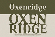 Stoneforge - Serif Font, a Font by Alpaprana (Thumbnail 5 of 11)