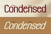 Primiera, a Sans Serif Font by Burntilldead (Thumbnail 9 of 13)
