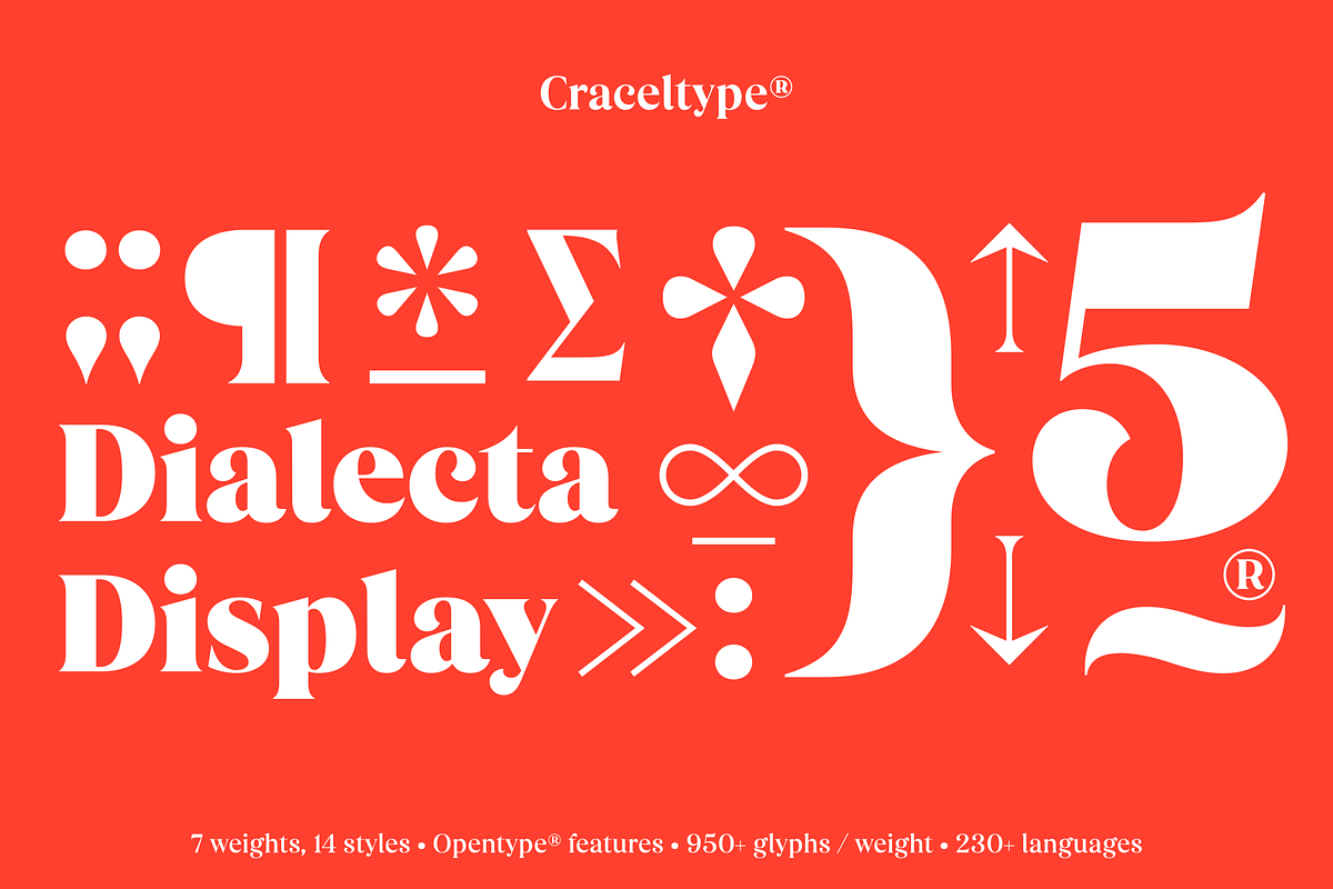 Dialecta Display, a Serif Font by Craceltype (Photo 5 of 9)