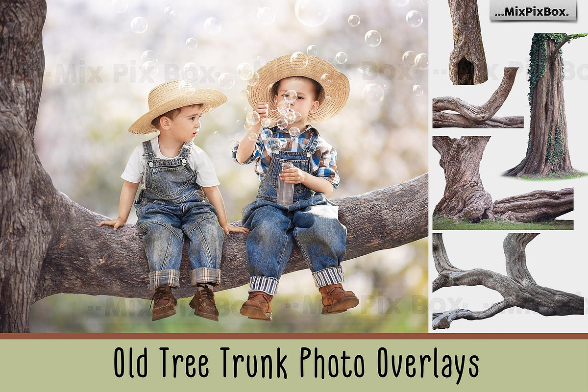 Old Tree Trunk Photo Overlays, an Object Graphic by MixPixBox (Photo 1 of 3)