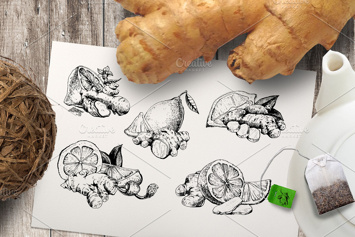 Ginger & lemon. Ink engraving set, a Food Illustration by Alena Kaz (Photo 2 of 7)