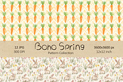 Boho Easter Spring Patterns Set, a Pattern Graphic by IrenKlm (Thumbnail 4 of 9)