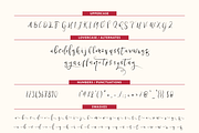Sunshine Rose, a Script Font by oldschool designer co (Thumbnail 5 of 5)