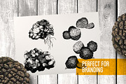 Truffle. Mushroom hand drawn set, a Food Illustration by Alena Kaz (Thumbnail 3 of 3)