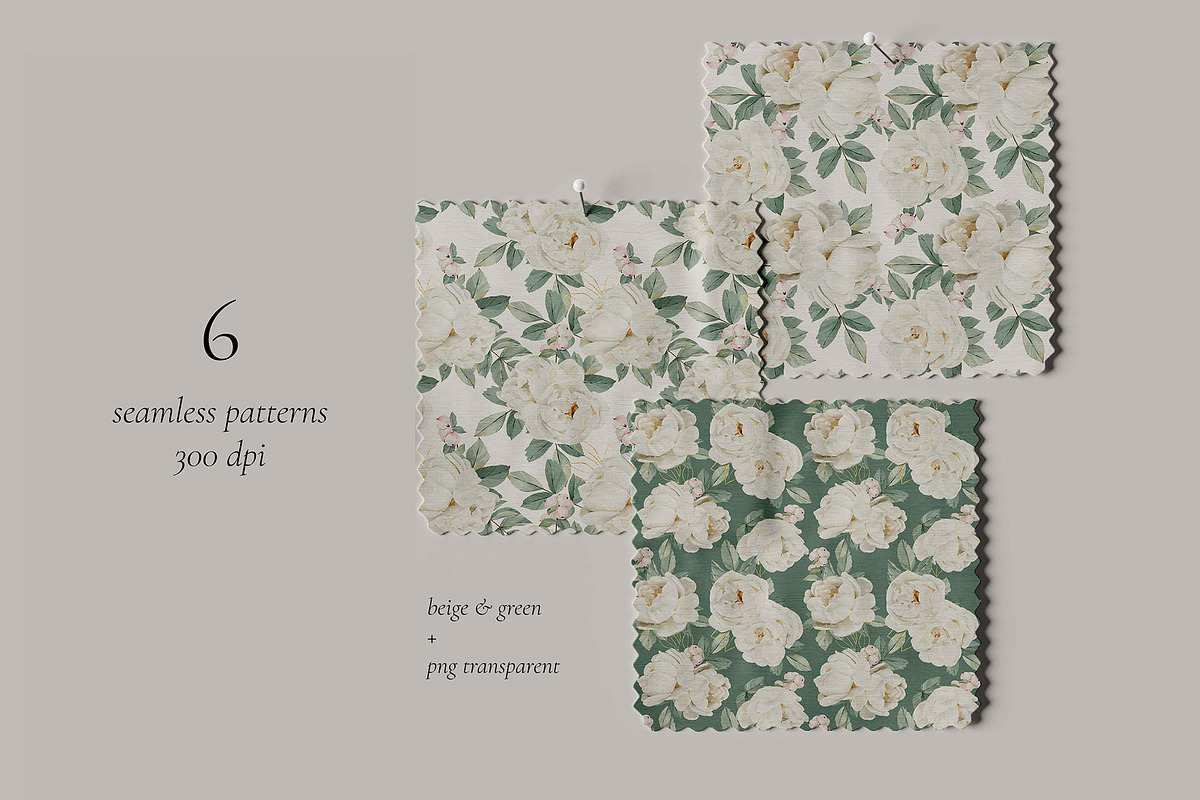 Watercolor White Rose Collection, an Object Illustration by bloomscape (Photo 5 of 13)