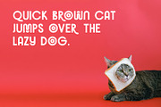 Brocado Typeface, a Sans Serif Font by Design Stag (Thumbnail 4 of 8)