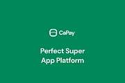 CaPay Wallet iOS UI Kit, an UI Kit Template by CaDesign (Thumbnail 5 of 7)