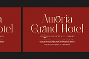 Glizen Elegant Serif Font, a Serif Font by Graphicxell (Thumbnail 6 of 8)