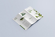 Trifold Brochure Mockup, a Print Template by mockupatelier (Thumbnail 11 of 15)