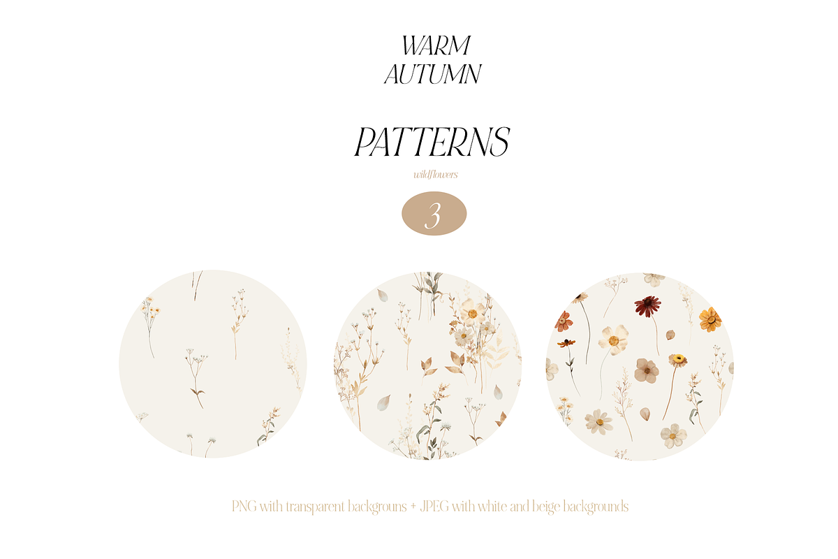 Warm AUTUMN - wildflower collection, a Seasonal Illustration by Youksy (Photo 10 of 17)