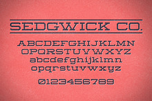 Sedgwick Co. 2.0