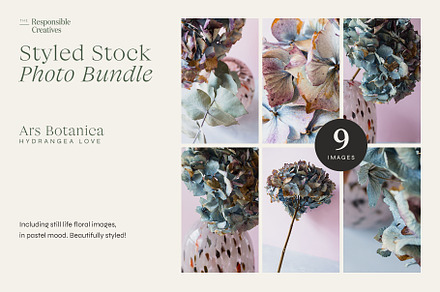Hydrangea Love | Styled Photo Bundle