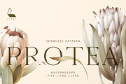 Protea | Seamless pattern, a Pattern Graphic by Karma (Thumbnail 1 of 18)