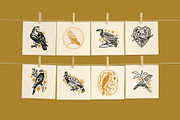 Halcon Libre Bundle, an Animal Illustration by Annie Konst (Thumbnail 4 of 21)