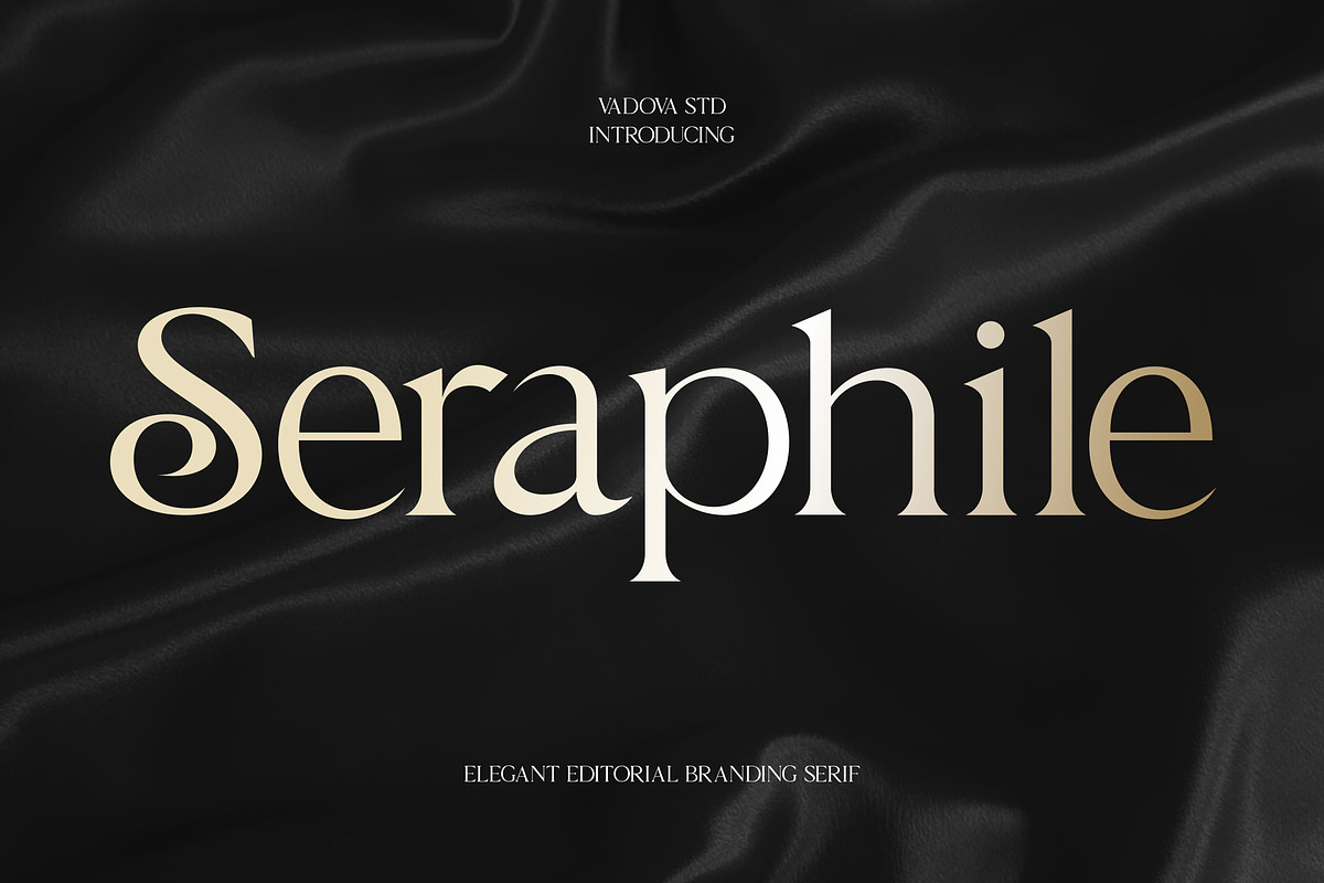 Seraphile Elegant Serif Font, a Serif Font by Vadovastd (Photo 1 of 7)